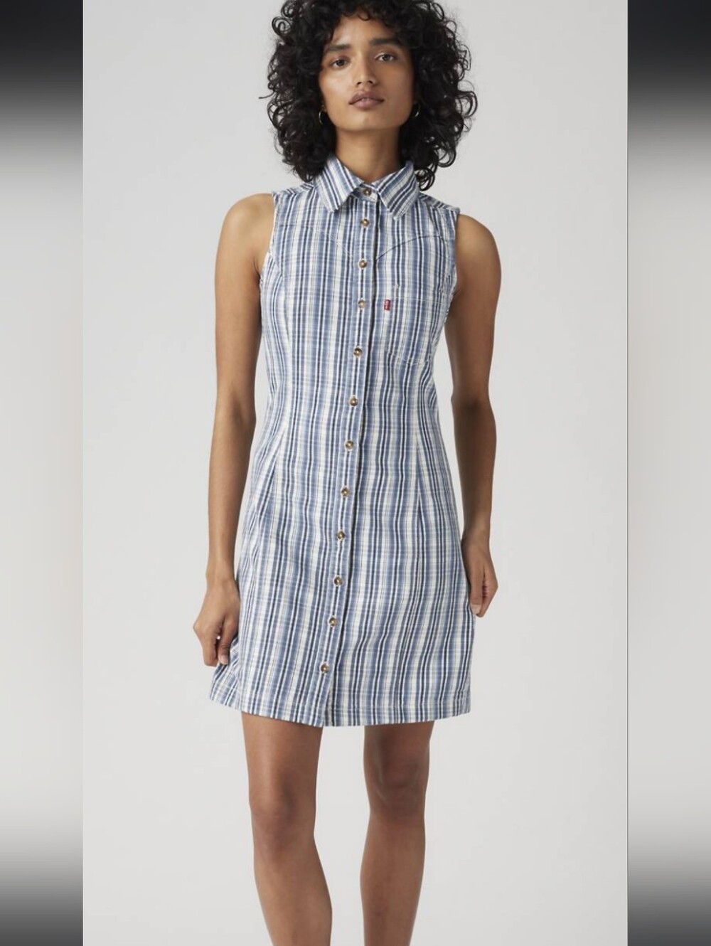 LEVIS Sleeveless Blue Plaid Button-Front Dress